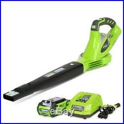 Cordless Leaf Blower Electric Battery Powered With Charger Variable Speed 150mph