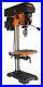 Variable_Speed_Drill_Press_12_Inch_Digital_Spindle_Floor_Electric_Machine_Tool_01_hsul